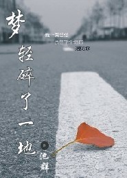 梦轻碎了一地